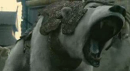 Trailer The Golden Compass