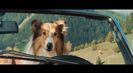 Trailer film Lassie - Ein neues Abenteuer