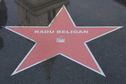 Articol Votează actorii care vor primi Stele până la sfârşitul anului