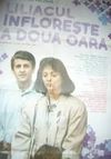 Liliacul înflorește a doua oară