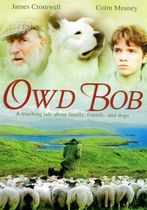 Bătrânul Bob